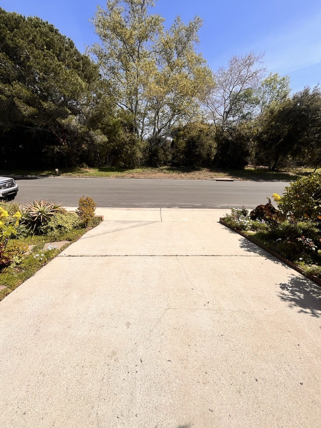 Concrete Driveway after cleaning by Valley Wash Pros