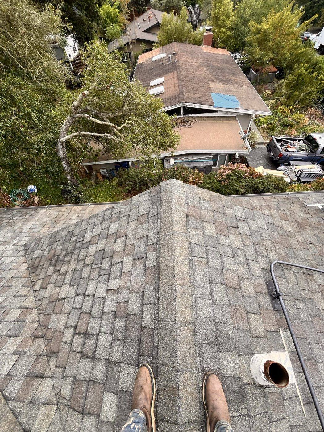 The same shingle roof after soft washing