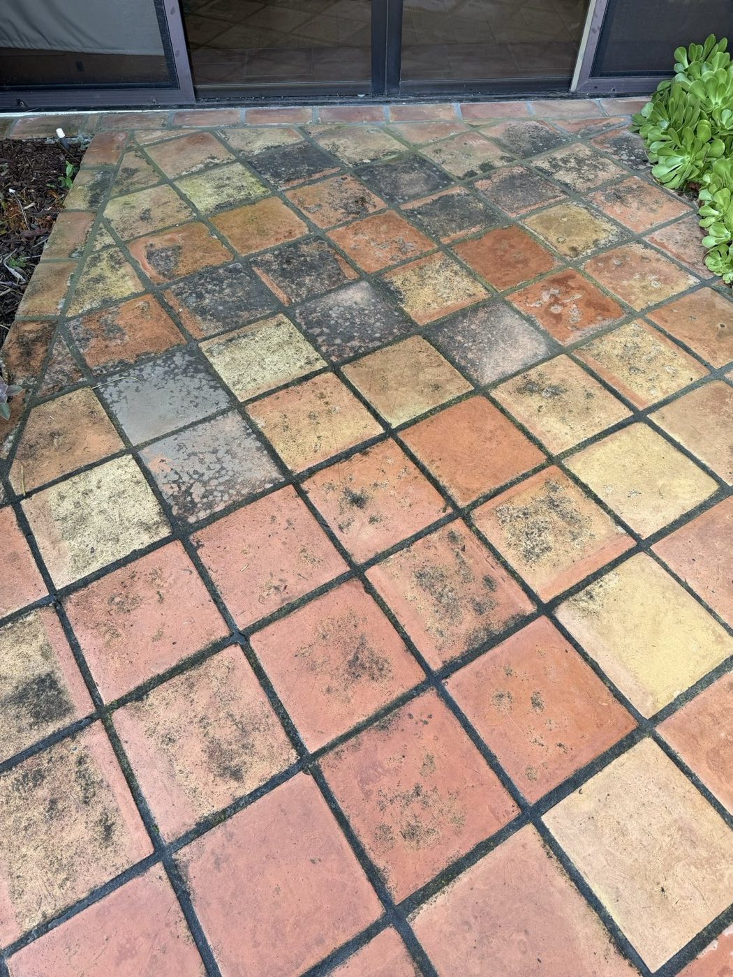 Tile courtyard darkened with years of dirt and biological growth before pressure washing