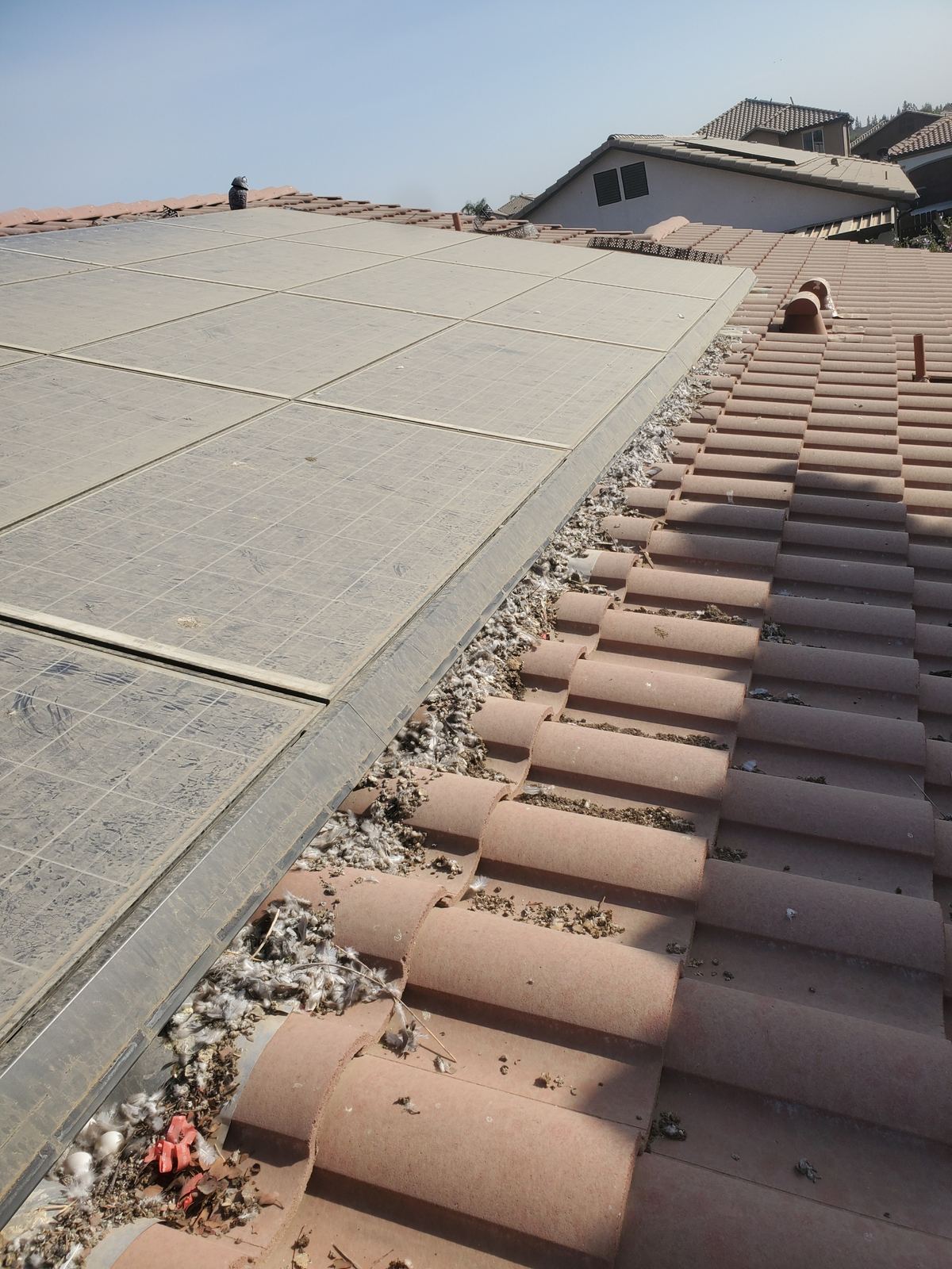 Solar panels on a tile roof fitted with critter guard bird proofing mesh around the array edge