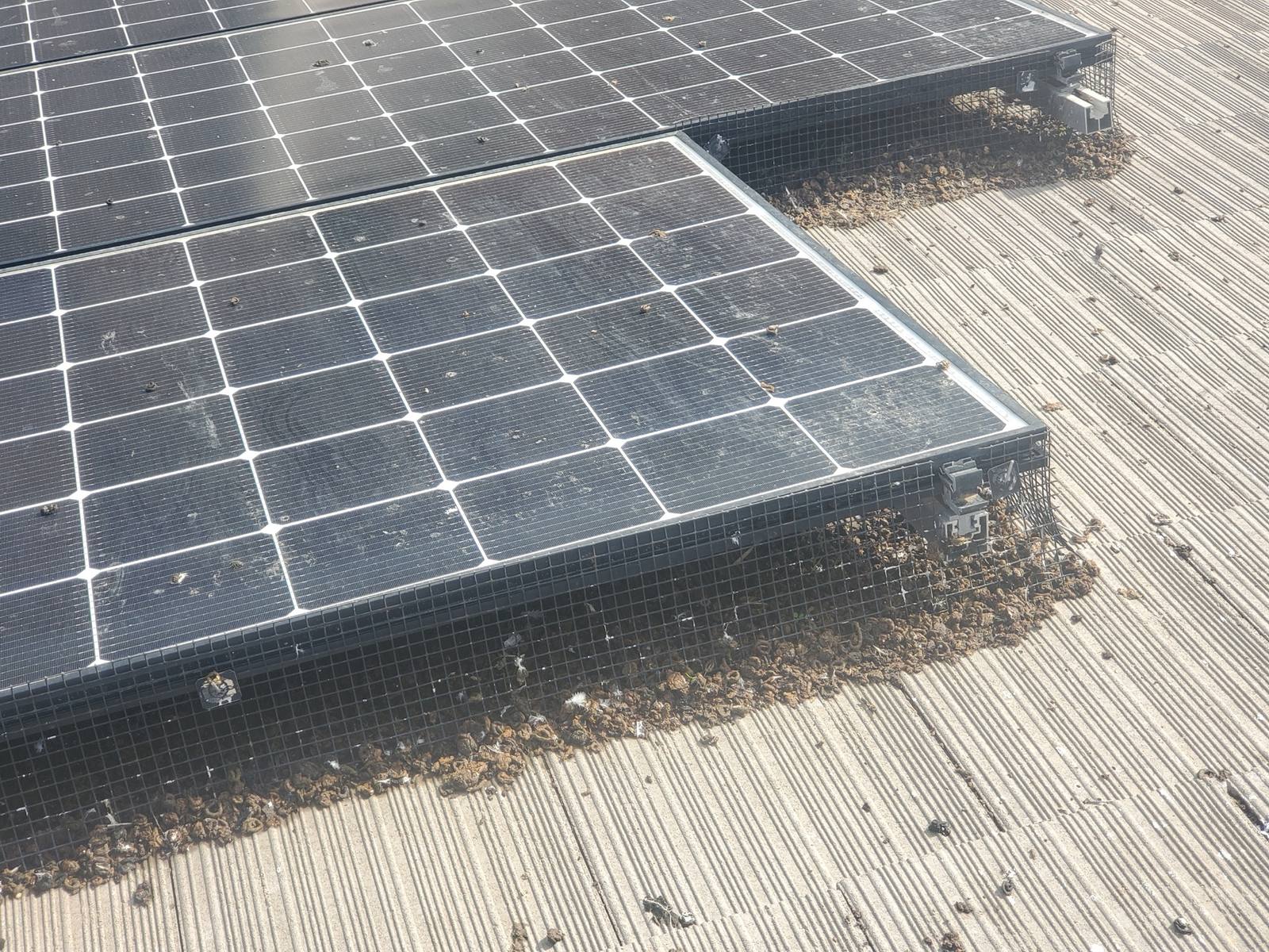 Critter-guard bird-deterrent mesh installed along a solar array by Valley Wash Pros