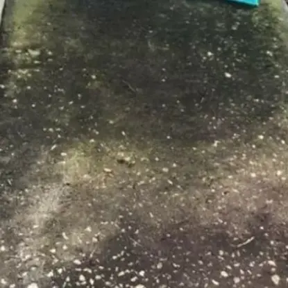 Pressure Washing Before