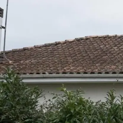 Roof Cleaning Before