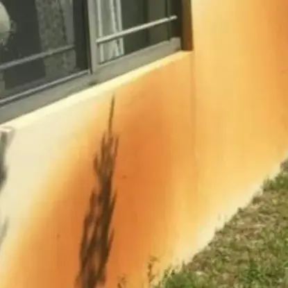 House Washing Before