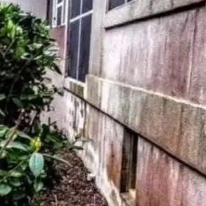 House Washing Before